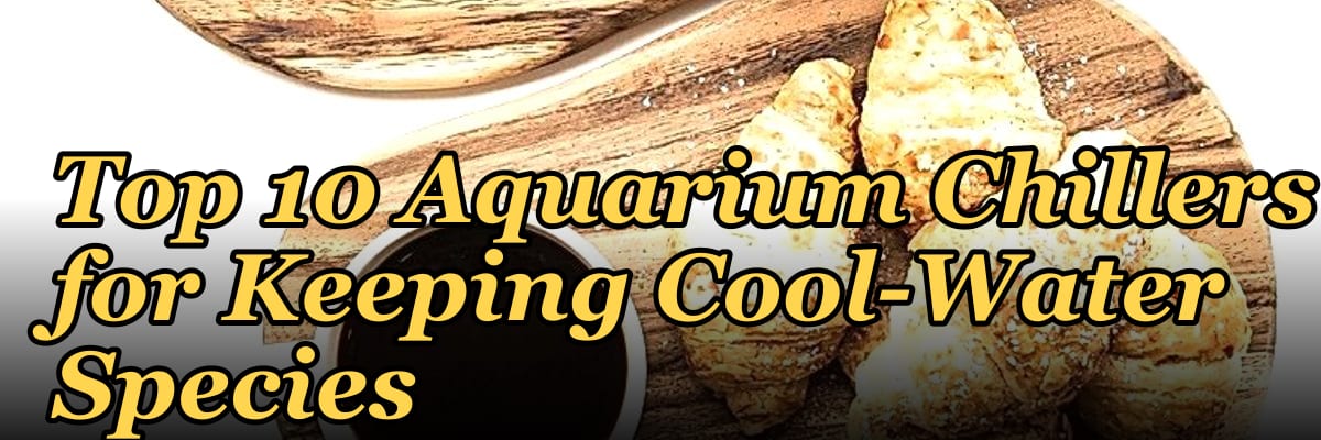 Top 10 Aquarium Chillers for Keeping Cool-Water Species