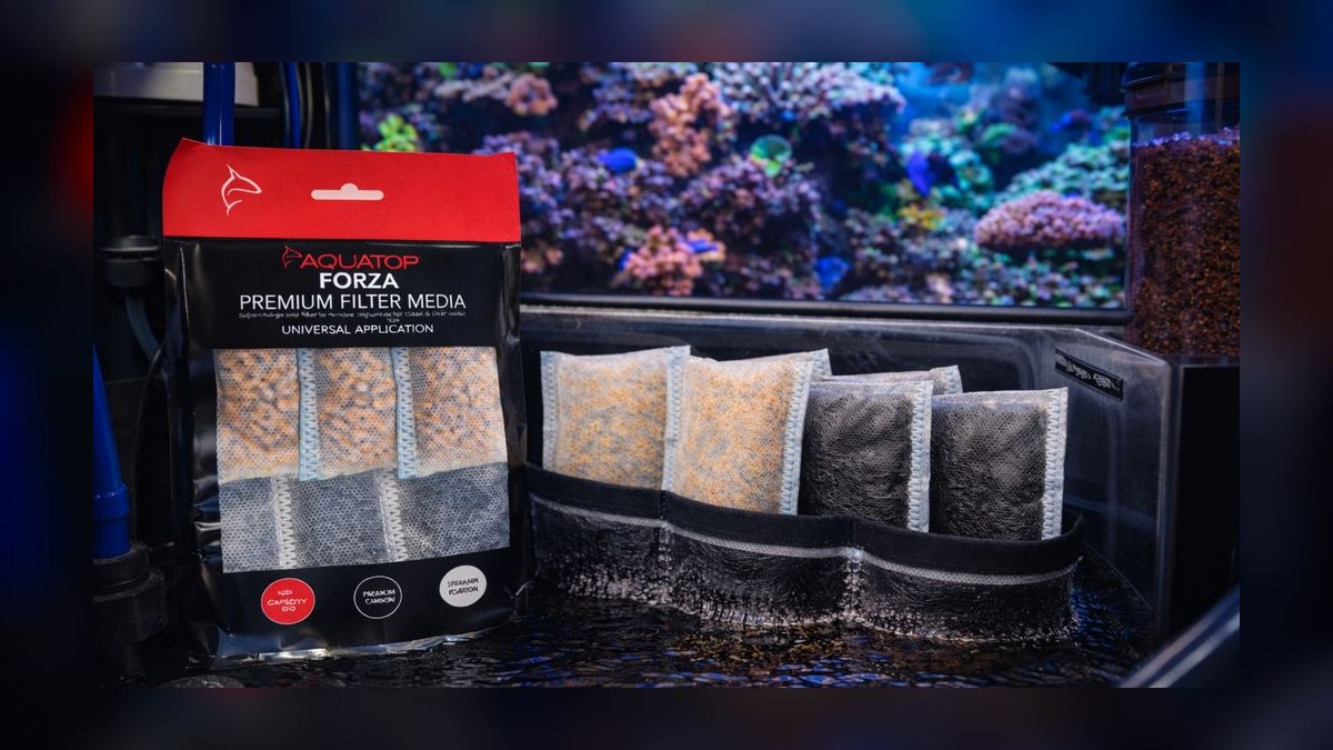Top 10 Hang-on-Back Filters for Betta Tanks in 2027 — figure 10