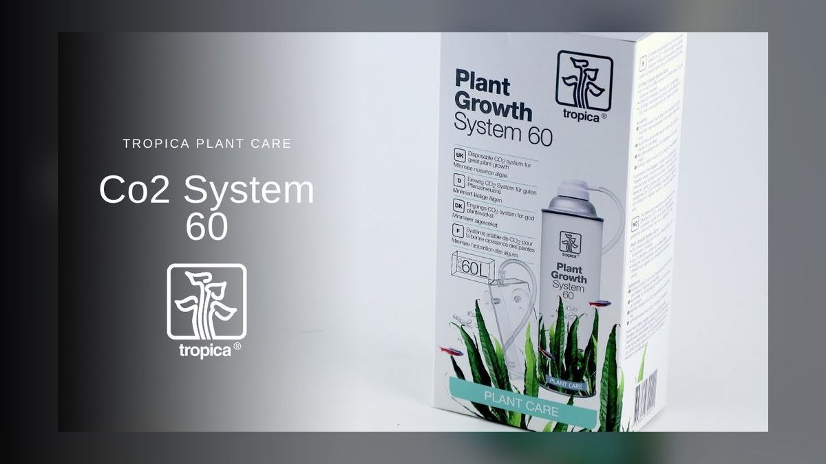 Top 10 CO2 Injection Systems for High-Tech Planted Tanks in 2027 — figure 4