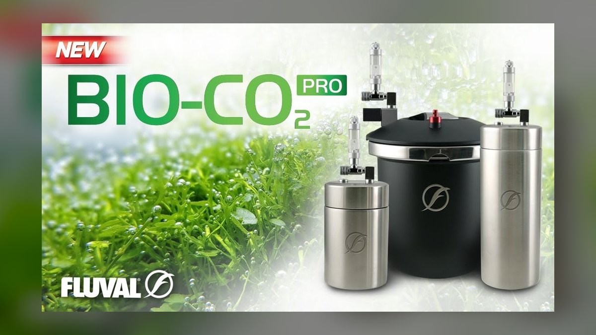 Top 10 CO2 Injection Systems for High-Tech Planted Tanks in 2027 — figure 8