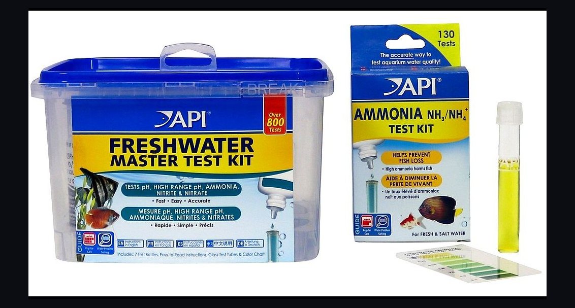 Top 10 Aquarium Test Kits for Monitoring Ammonia and Nitrite in 2027