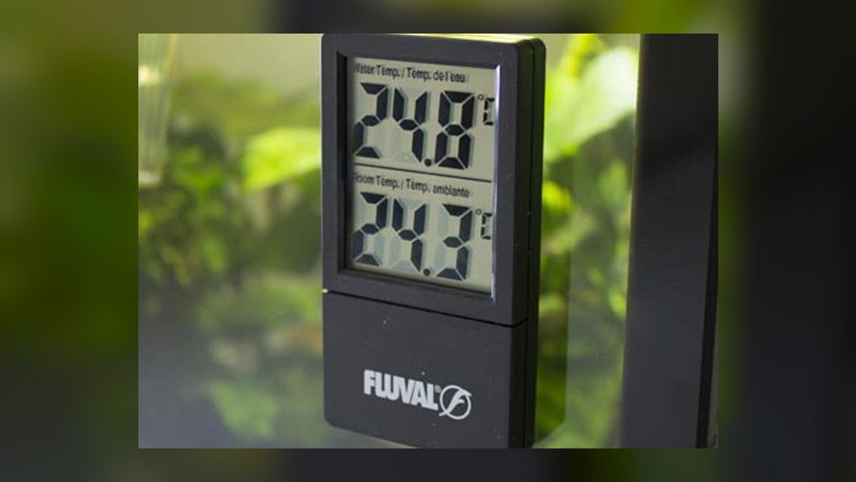 Top 10 Aquarium Thermometers for Accurate Temperature Readings — figure 7