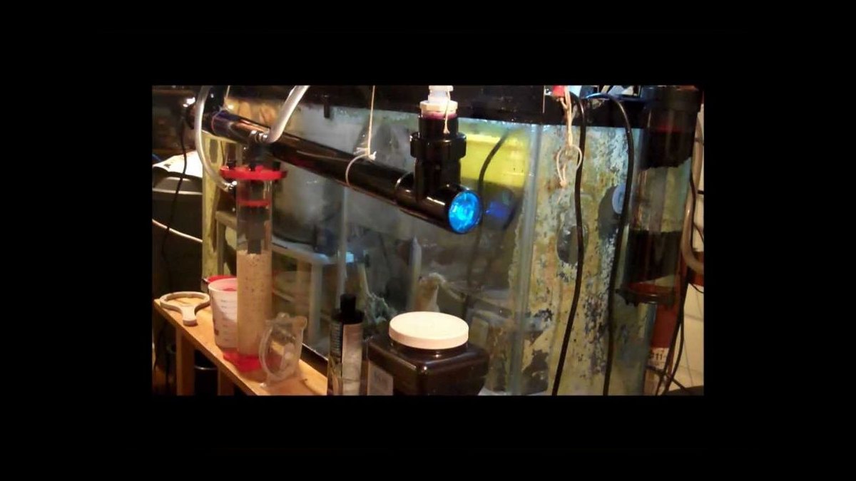 Top 10 UV Sterilizers for Clearing Green Water Algae — figure 3