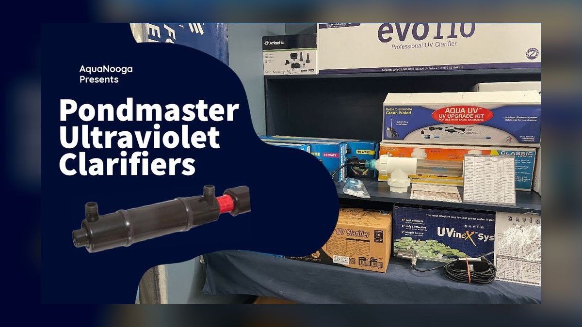 Top 10 UV Sterilizers for Clearing Green Water Algae — figure 7