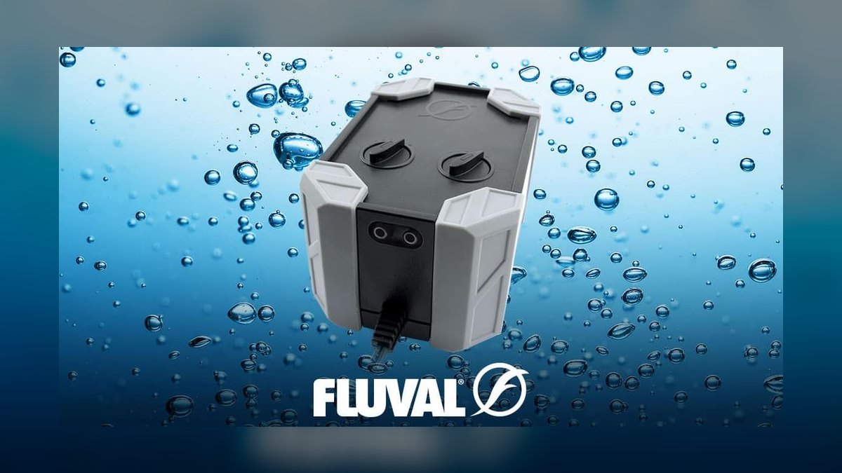 Top 10 Aquarium Air Pumps for Silent Operation in 2027 — figure 6