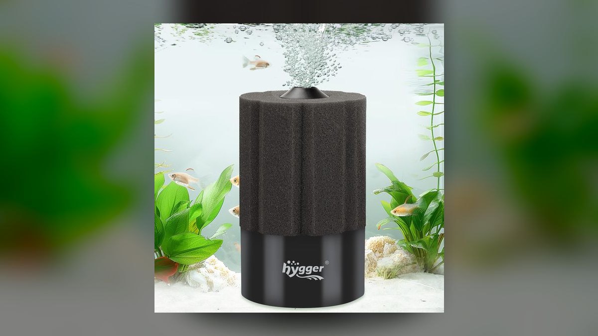 Top 10 Sponge Filters for Fry and Shrimp Tanks in 2027 — figure 9