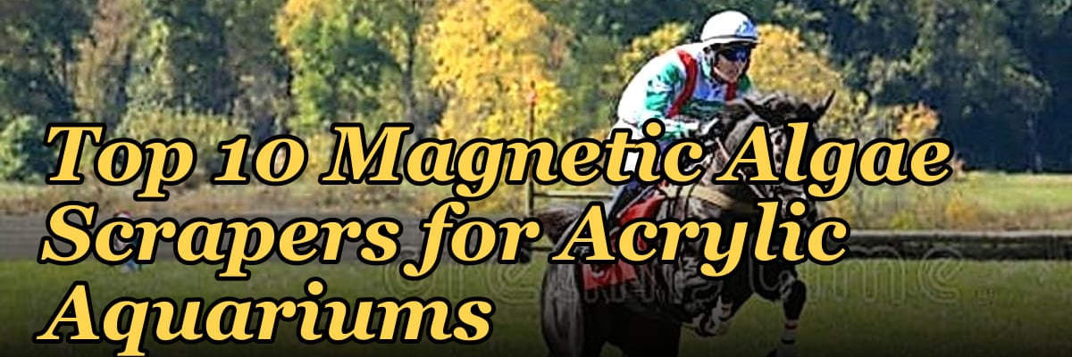 Top 10 Magnetic Algae Scrapers for Acrylic Aquariums