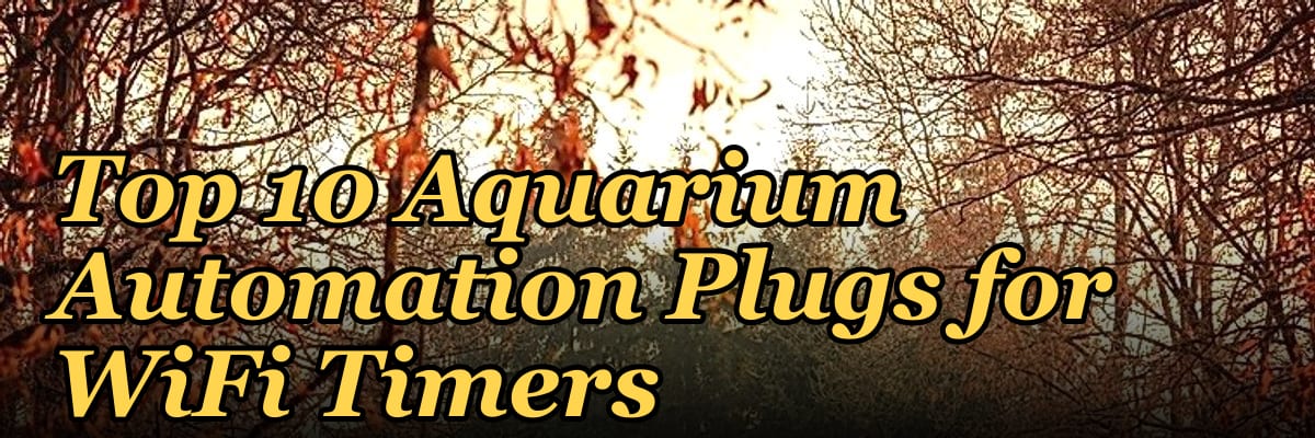 Top 10 Aquarium Automation Plugs for WiFi Timers