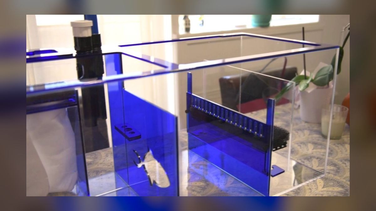 Top 10 Reef Sump Designs for Refugium Filtering in 2027 — figure 2