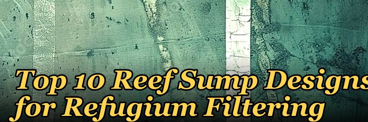 Top 10 Reef Sump Designs for Refugium Filtering