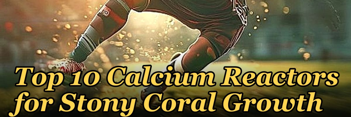 Top 10 Calcium Reactors for Stony Coral Growth