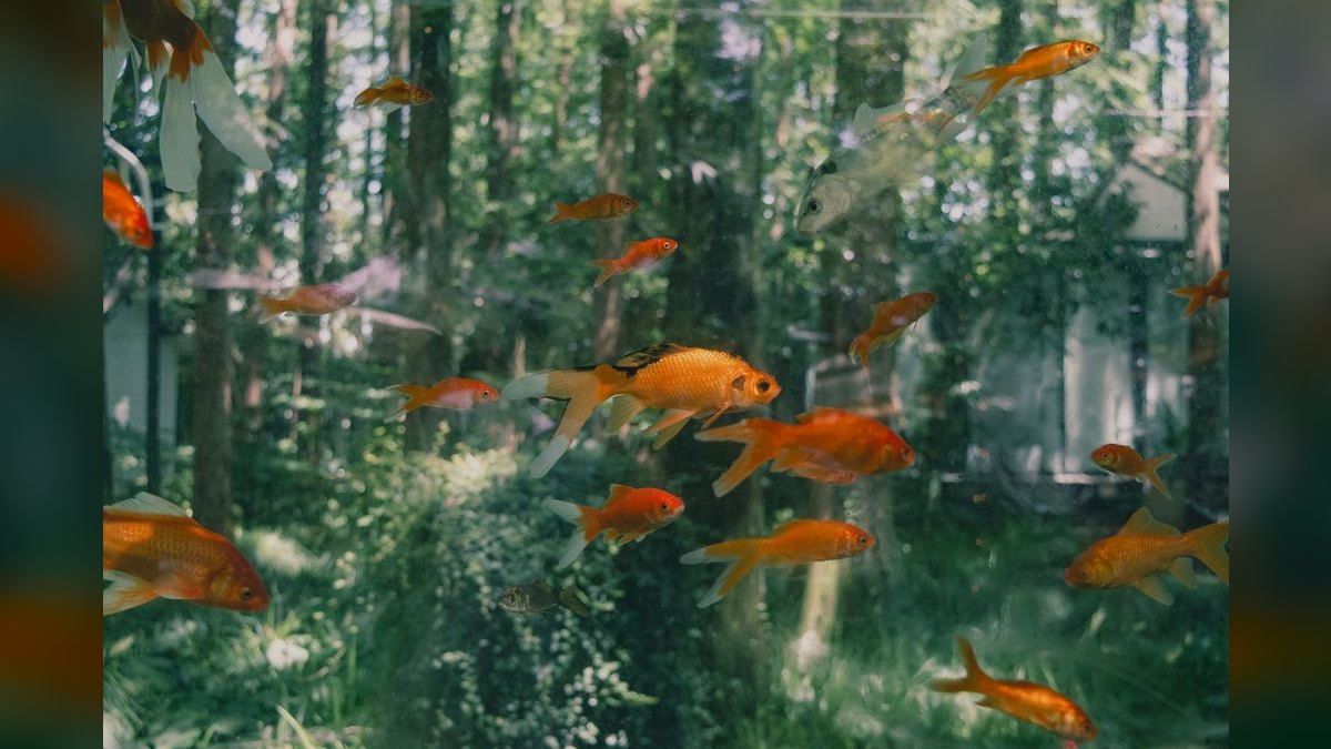 Top 10 Aquarium Vacuums for Gravel Cleaning Efficiency — figure 2