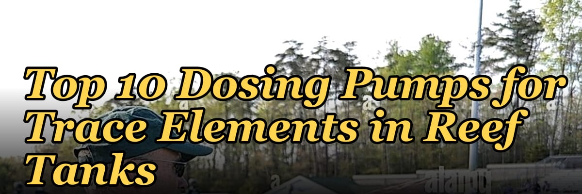Top 10 Dosing Pumps for Trace Elements in Reef Tanks