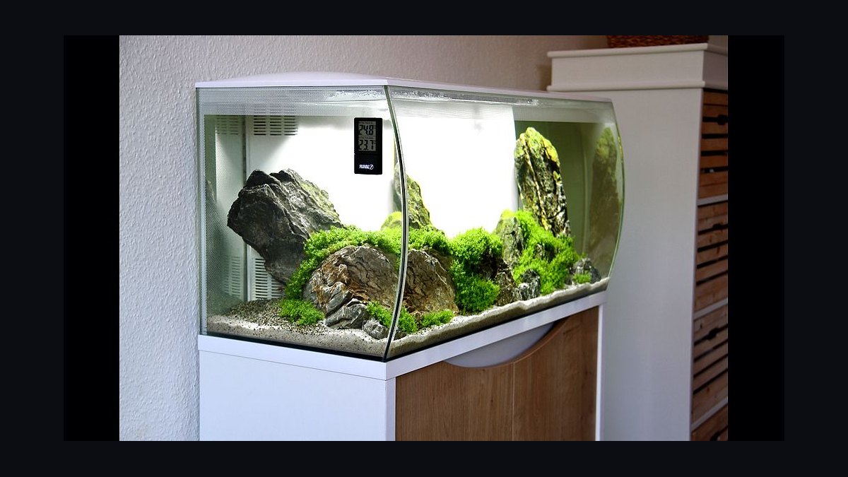 Top 10 Fish Acclimation Kits for Drip Method in 2027 — figure 8