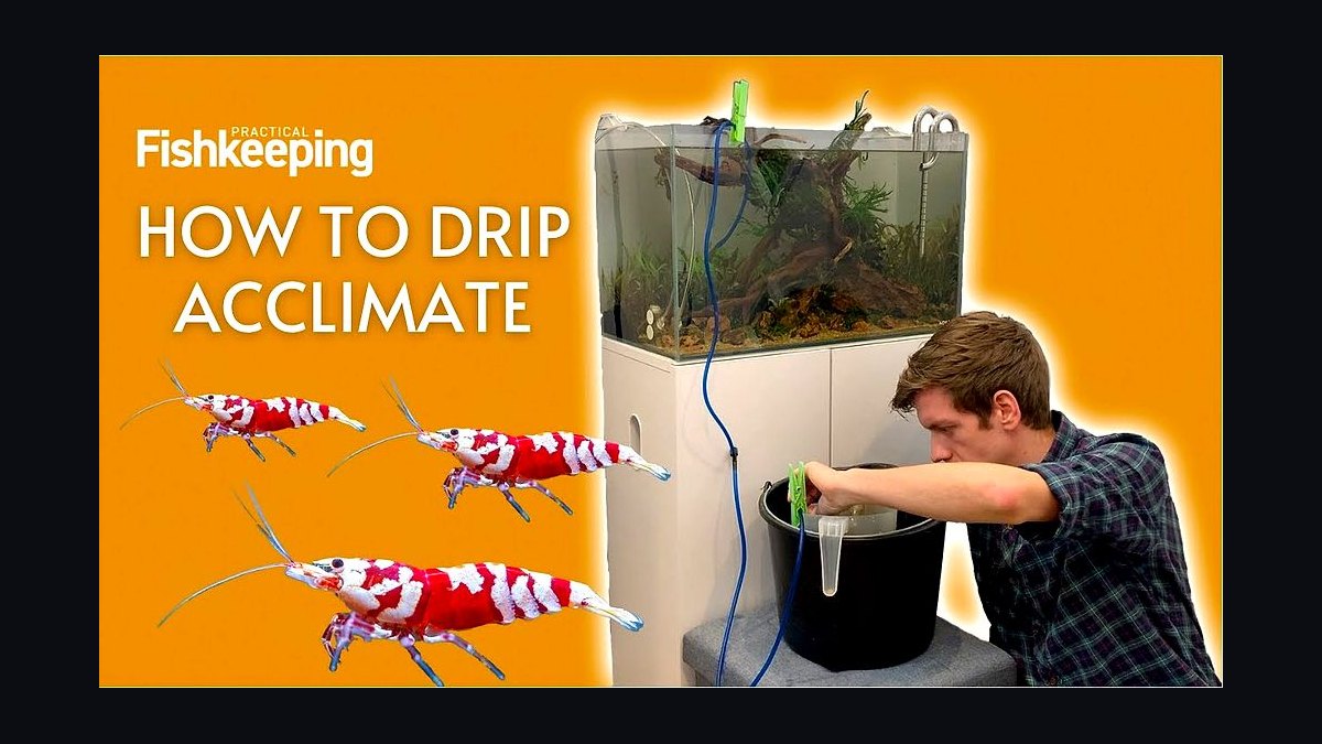 Top 10 Fish Acclimation Kits for Drip Method in 2027 — figure 9