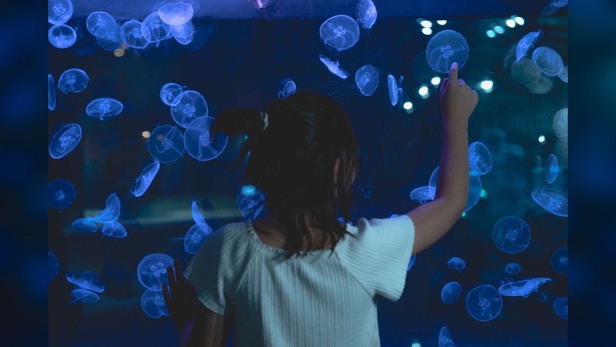 Top 10 Aquarium Glass Polishers for Scratch Removal — figure 2