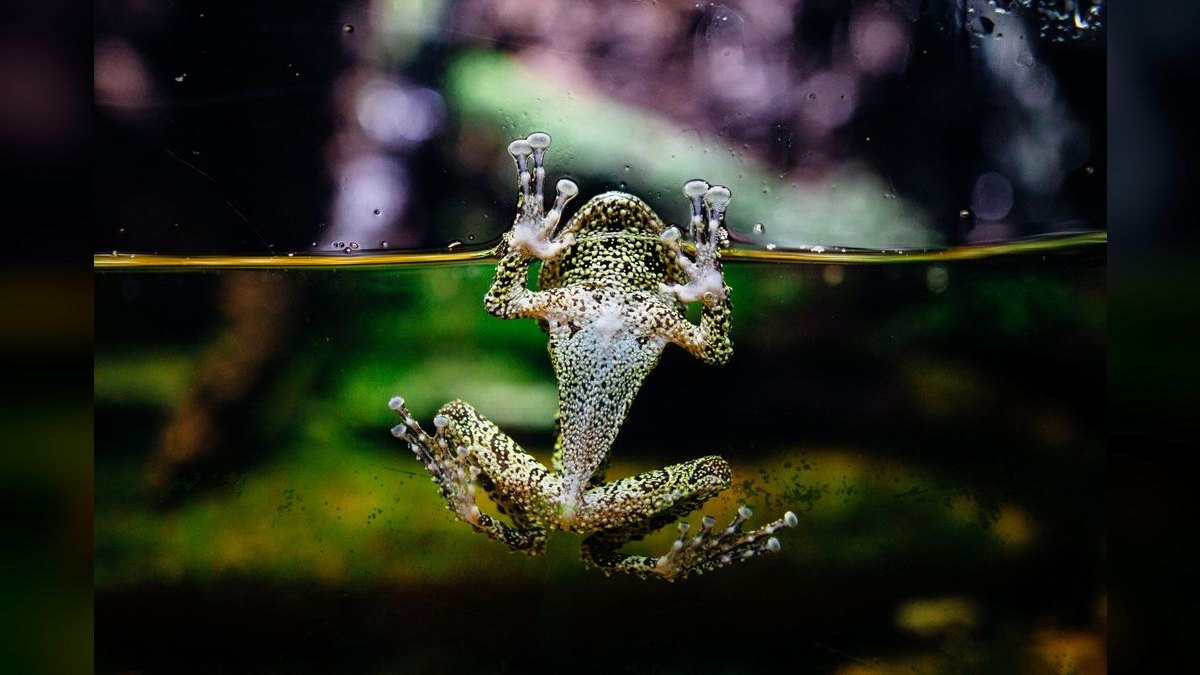Top 10 Aquarium Glass Polishers for Scratch Removal — figure 6