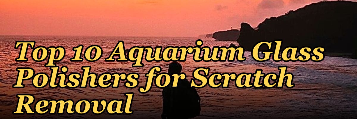 Top 10 Aquarium Glass Polishers for Scratch Removal