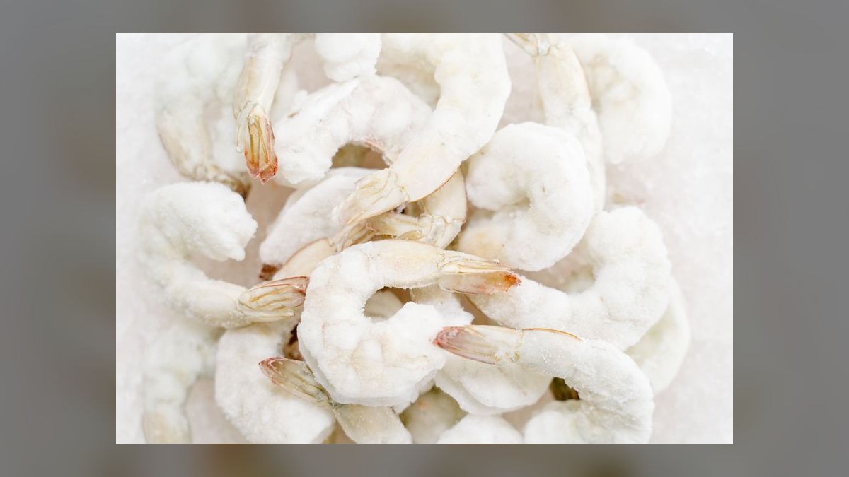 Top 10 Frozen Fish Foods for Omnivorous Marine Fish in 2027 — figure 2