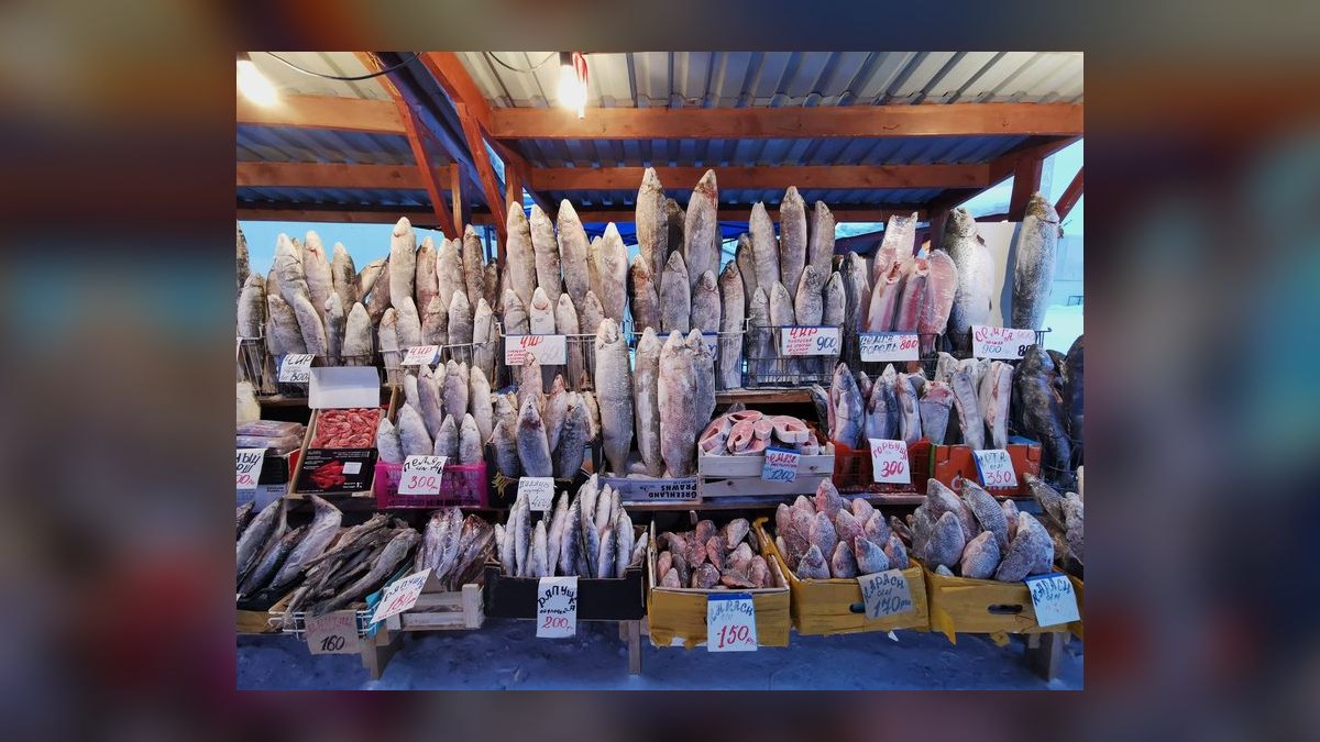 Top 10 Frozen Fish Foods for Omnivorous Marine Fish in 2027 — figure 3