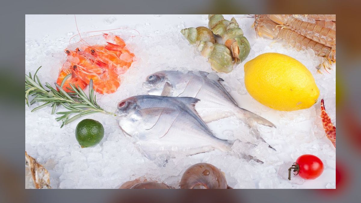 Top 10 Frozen Fish Foods for Omnivorous Marine Fish in 2027 — figure 4
