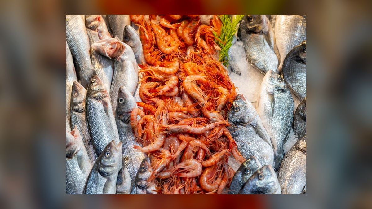 Top 10 Frozen Fish Foods for Omnivorous Marine Fish in 2027 — figure 8