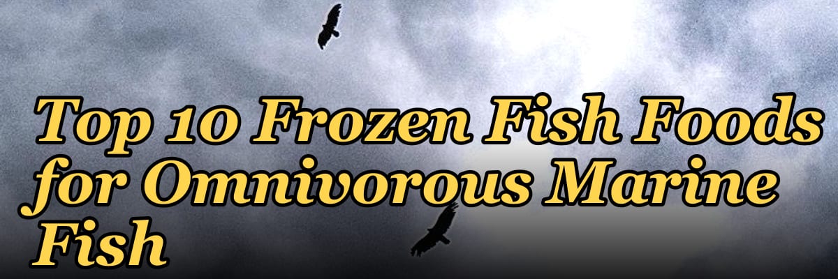 Top 10 Frozen Fish Foods for Omnivorous Marine Fish