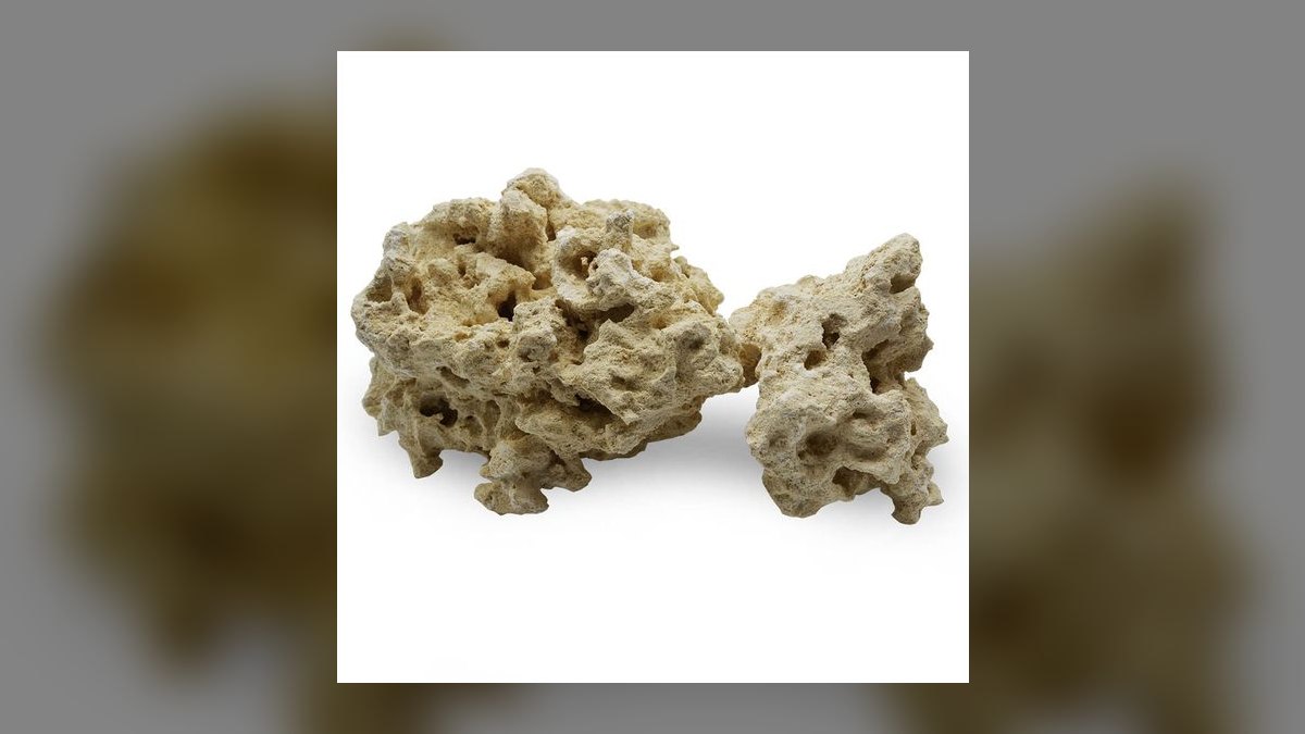 Top 10 Live Rock Sources for Cured Base Rock in 2027 — figure 10