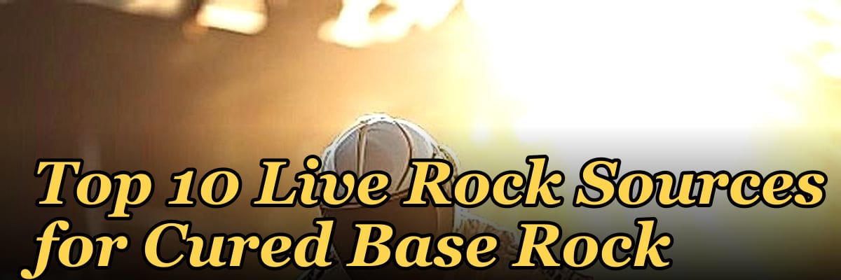 Top 10 Live Rock Sources for Cured Base Rock
