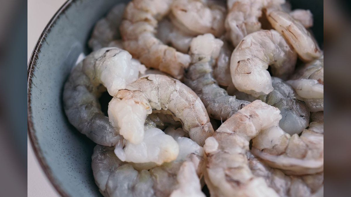 Top 10 Freshwater Shrimp Breeds for Coloration Patterns in 2027