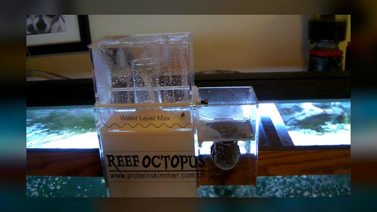 Top 10 Protein Skimmers for Saltwater Reef Tanks — figure 7