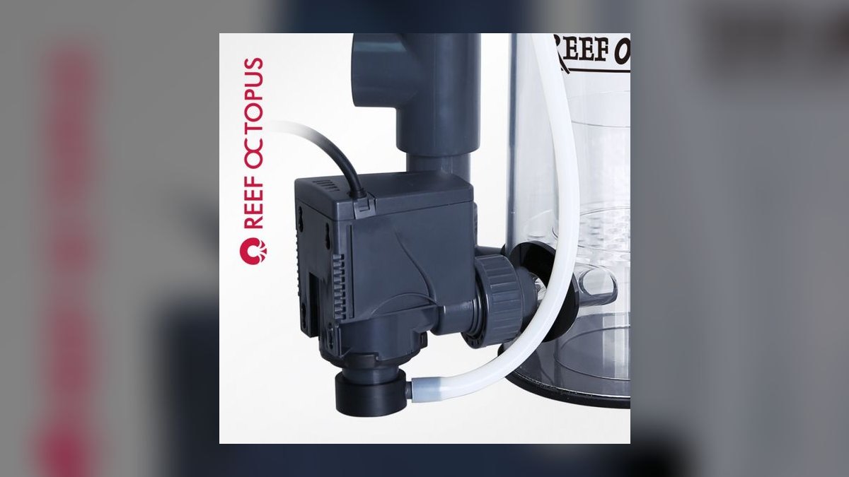 Top 10 Protein Skimmers for Saltwater Reef Tanks in 2027
