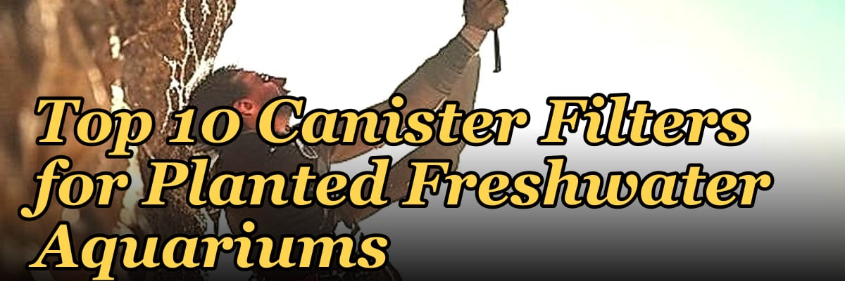 Top 10 Canister Filters for Planted Freshwater Aquariums