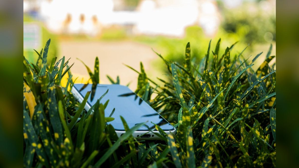 Top 10 Carpeting Plants for Low-Tech Aquascapes — figure 3