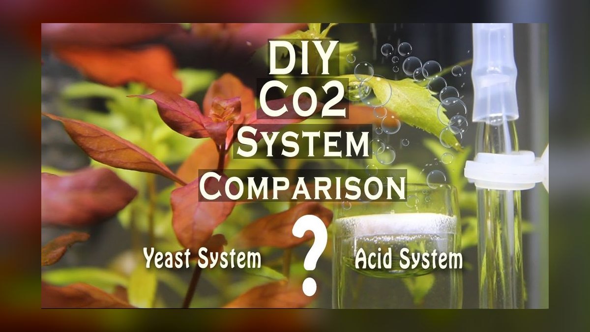 Top 10 CO2 Injection Systems for Small Planted Tanks in 2027 — figure 10