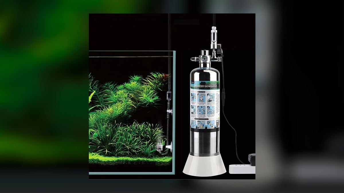 Top 10 CO2 Injection Systems for Small Planted Tanks in 2027