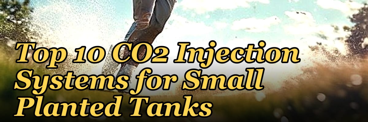 Top 10 CO2 Injection Systems for Small Planted Tanks
