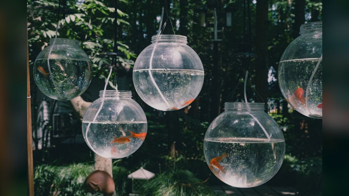 Top 10 Aquarium Glass Scrapers and Algae Pads — figure 1