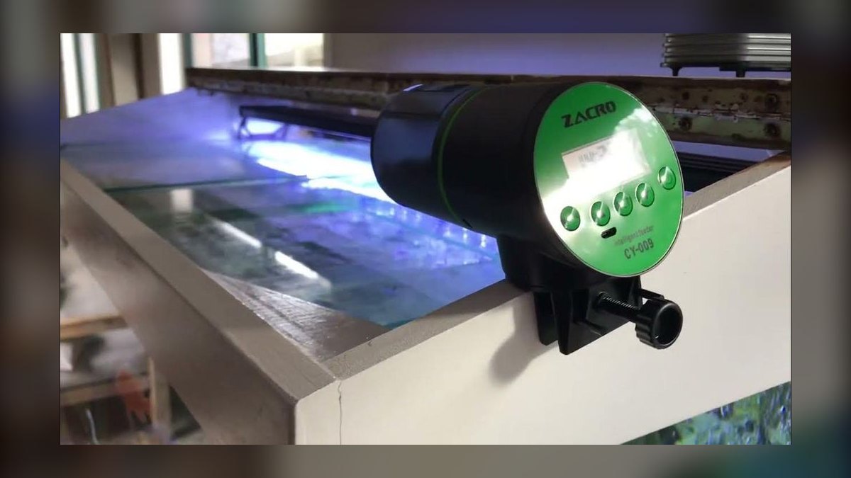Top 10 Automatic Fish Feeders for Vacation Use — figure 3