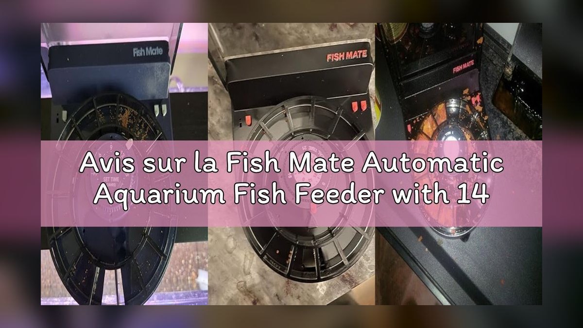 Top 10 Automatic Fish Feeders for Vacation Use — figure 5