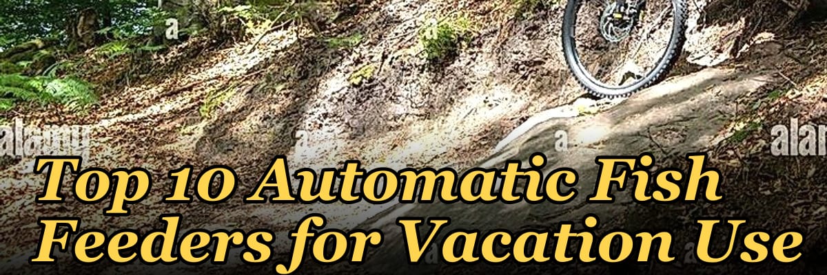 Top 10 Automatic Fish Feeders for Vacation Use
