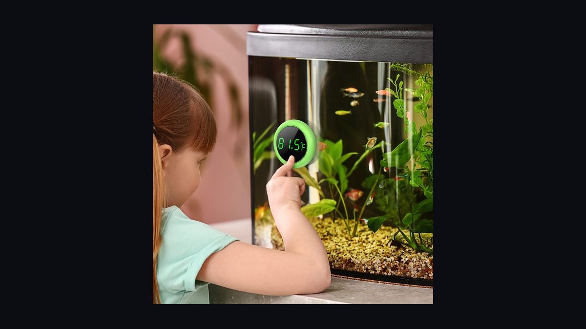 Top 10 Aquarium Thermometers (Digital and Stick-On) in 2027 — figure 3