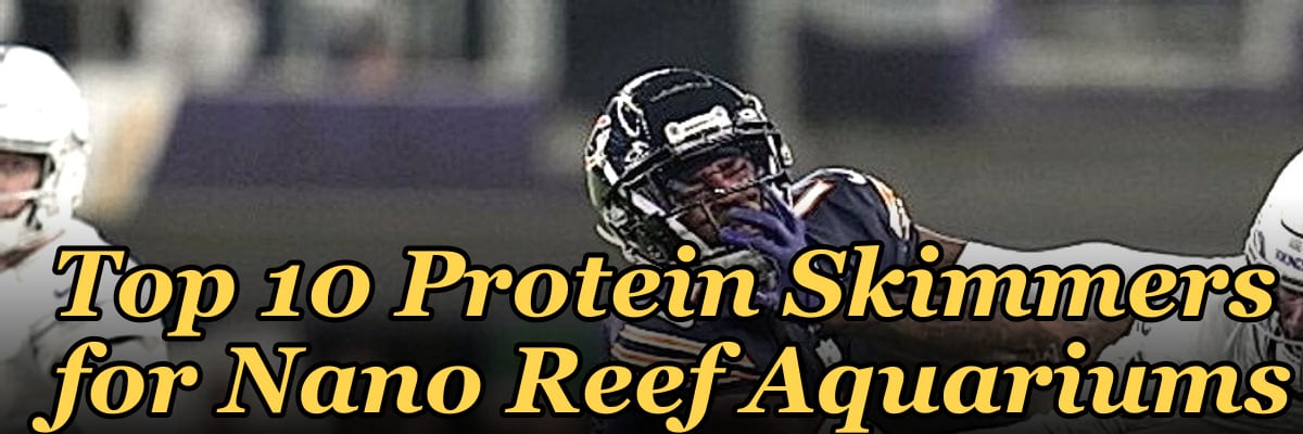 Top 10 Protein Skimmers for Nano Reef Aquariums