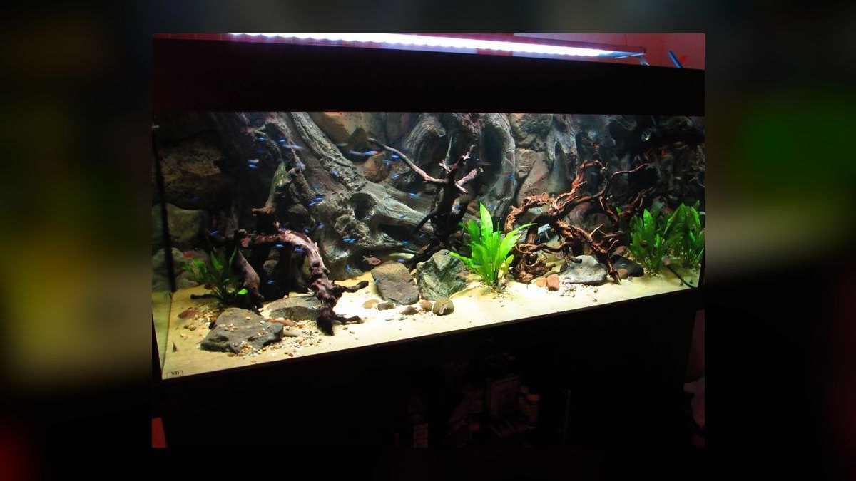 Top 10 Aquarium Backgrounds (3D and Printed) — figure 1