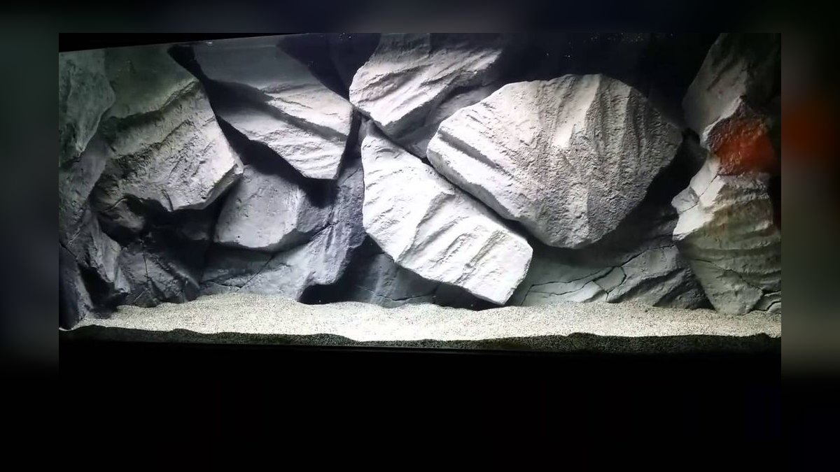 Top 10 Aquarium Backgrounds (3D and Printed) — figure 2