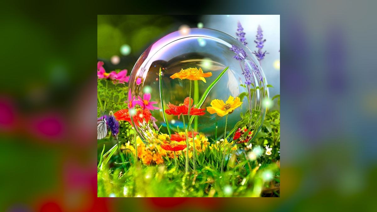 Top 10 Aquarium Backgrounds (3D and Printed) — figure 4