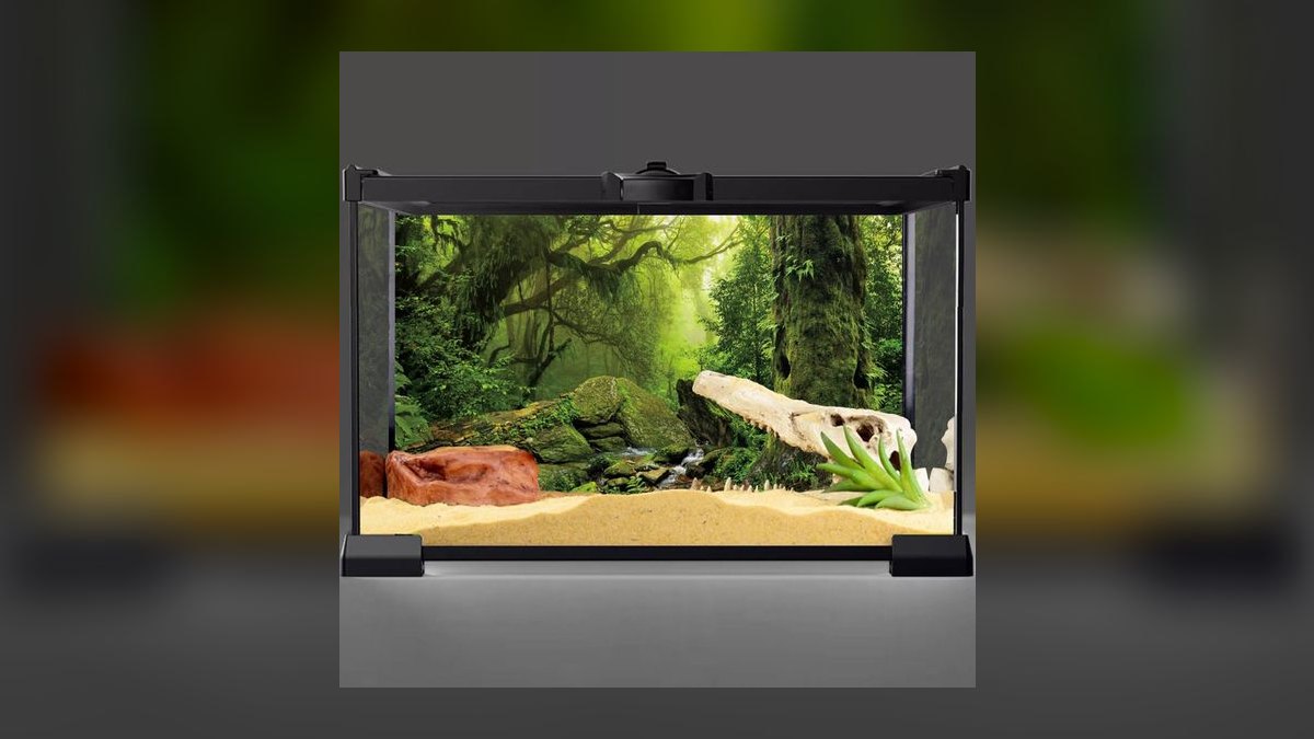 Top 10 Aquarium Backgrounds (3D and Printed) — figure 7