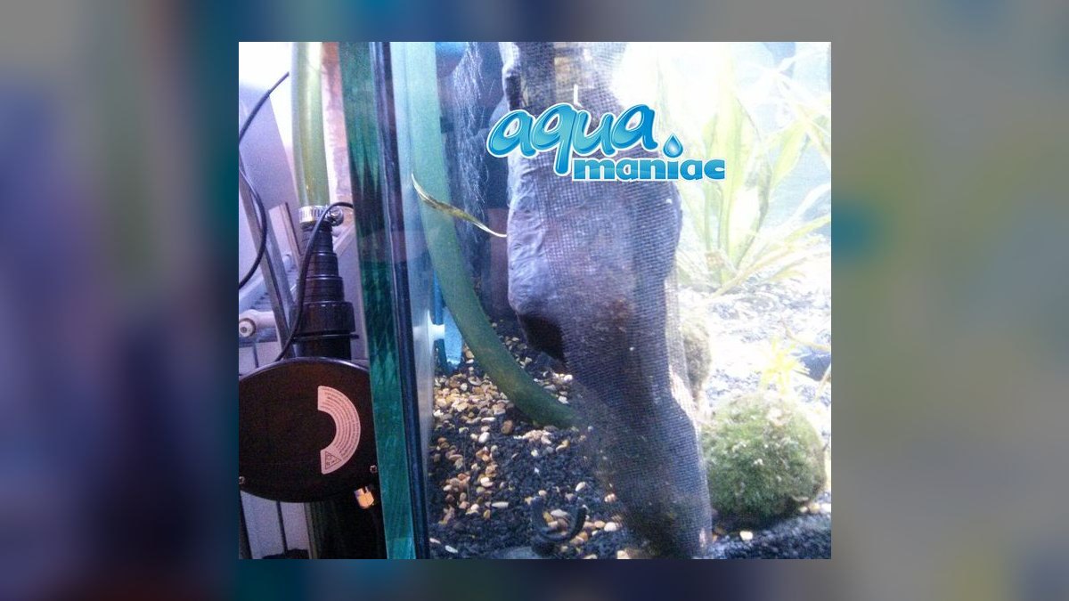 Top 10 Aquarium Backgrounds (3D and Printed) in 2027