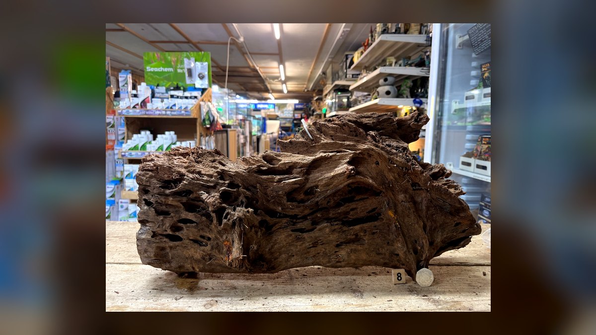 Top 10 Aquarium Driftwood Pieces for Natural Scaping in 2027 — figure 7