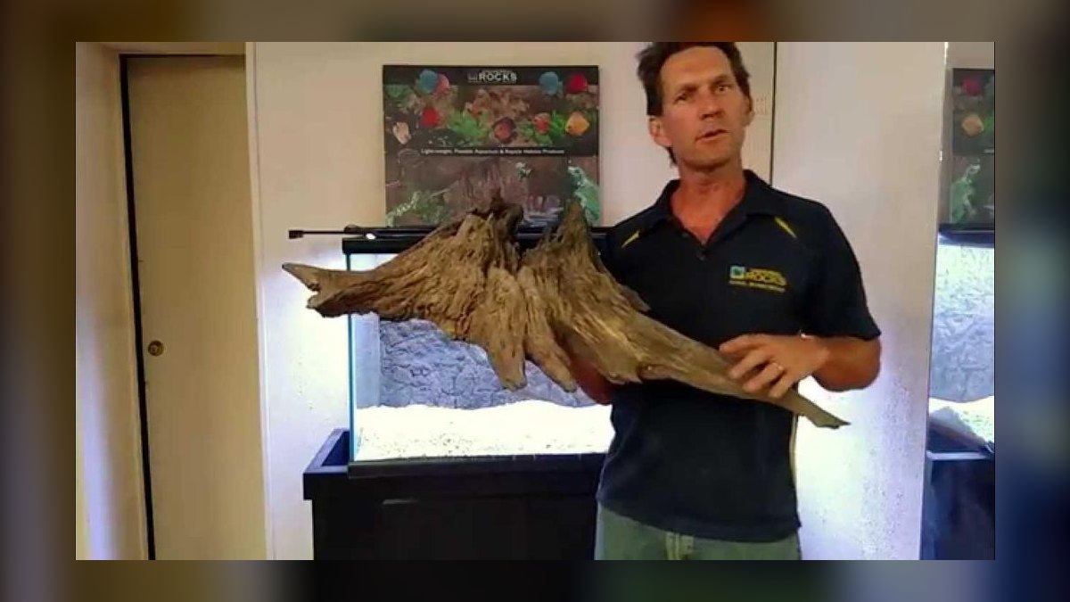 Top 10 Aquarium Driftwood Pieces for Natural Scaping in 2027 — figure 8